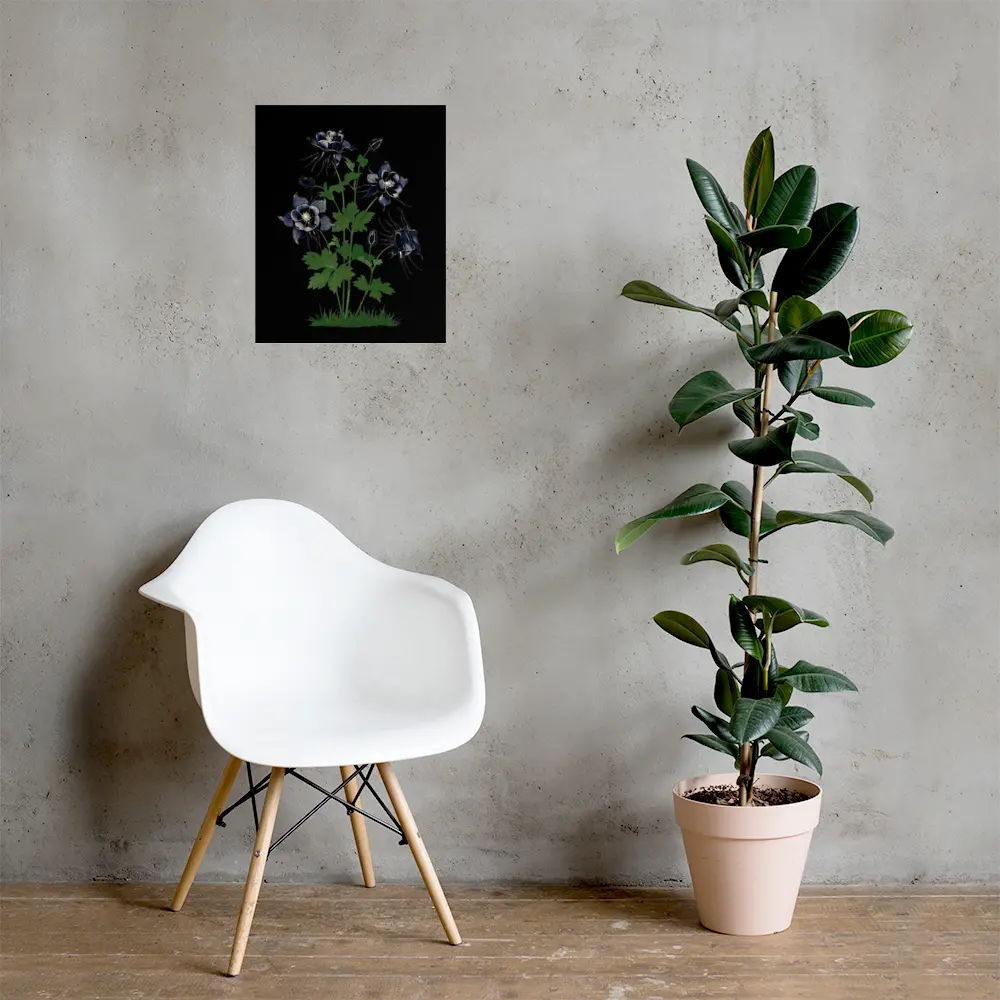 Black Midnight Columbine poster hung on a wall in the living room