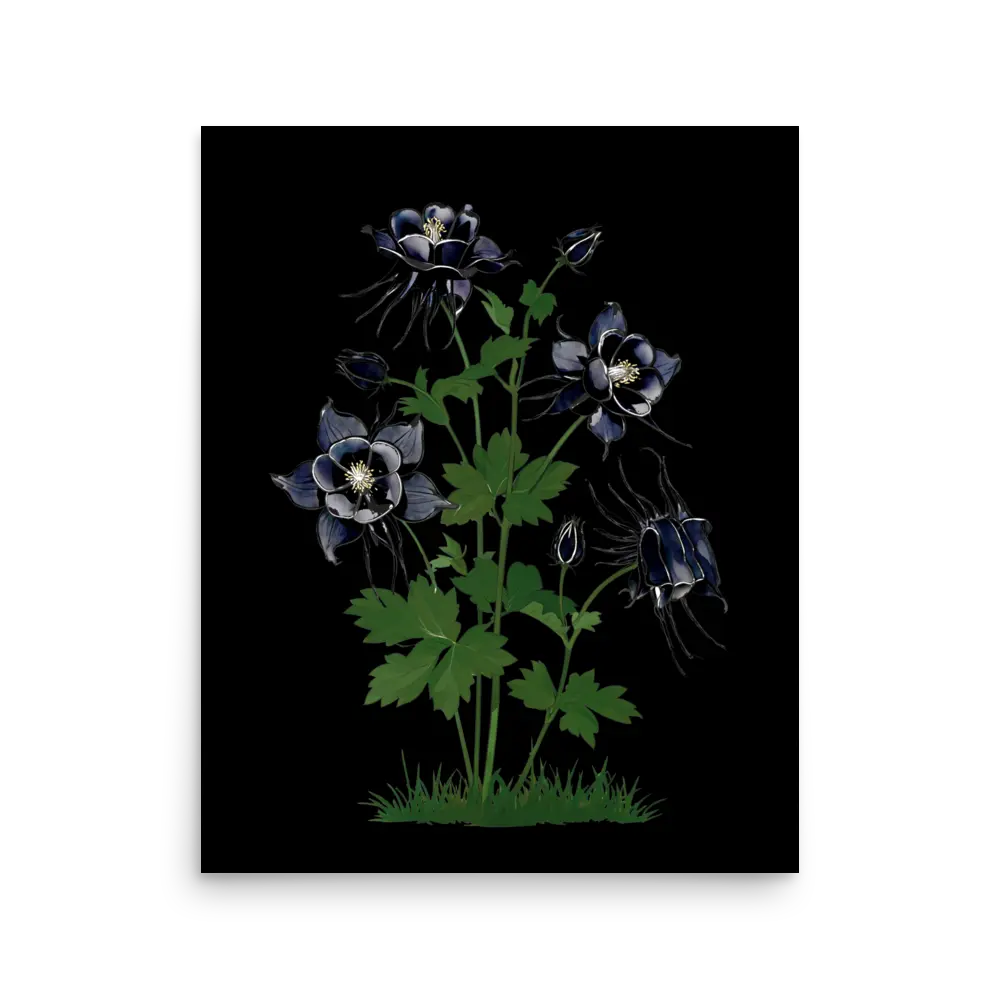 Midnight Columbine art print on matte paper — dark gothic botanical flowers | Feyflora
